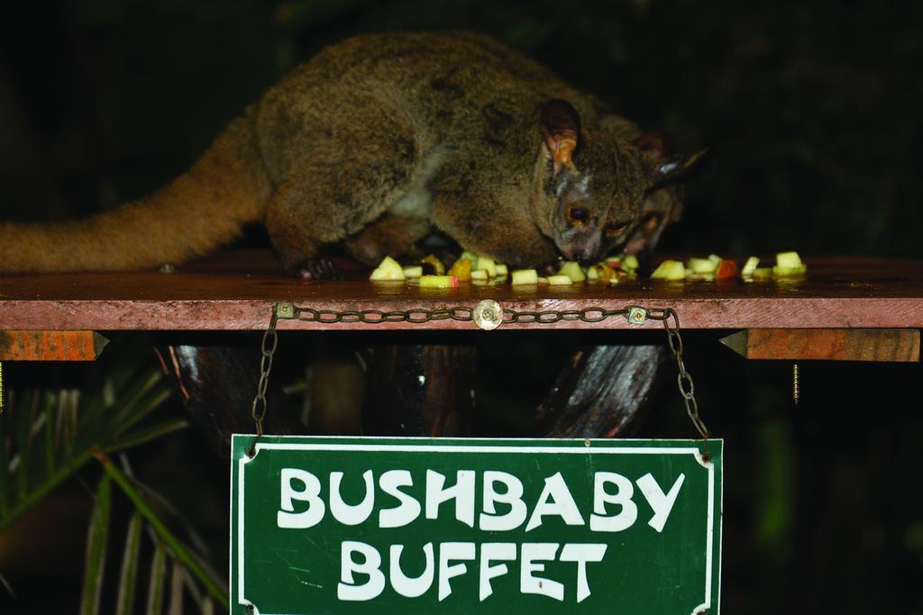 Gooderson Bushlands Game Lodge Hluhluwe Exterior foto
