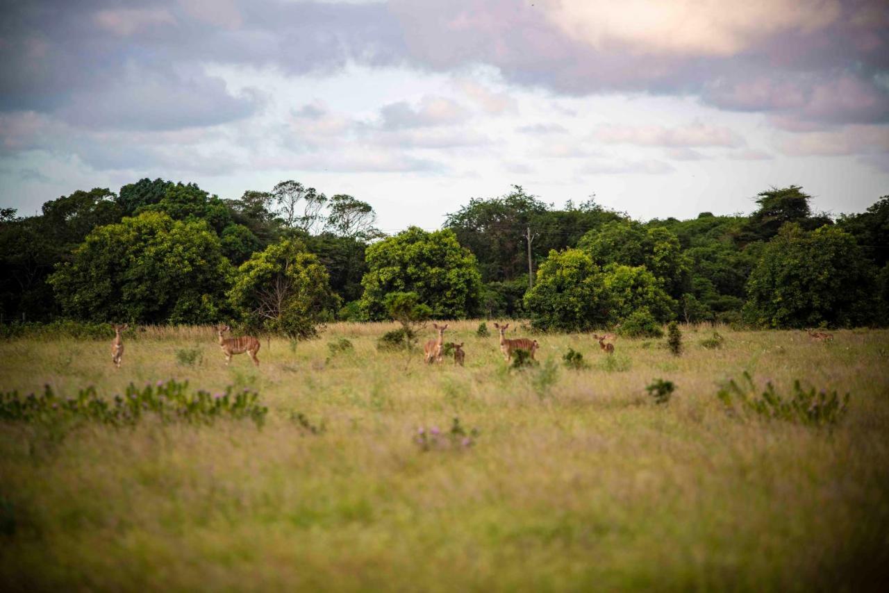 Gooderson Bushlands Game Lodge Hluhluwe Exterior foto